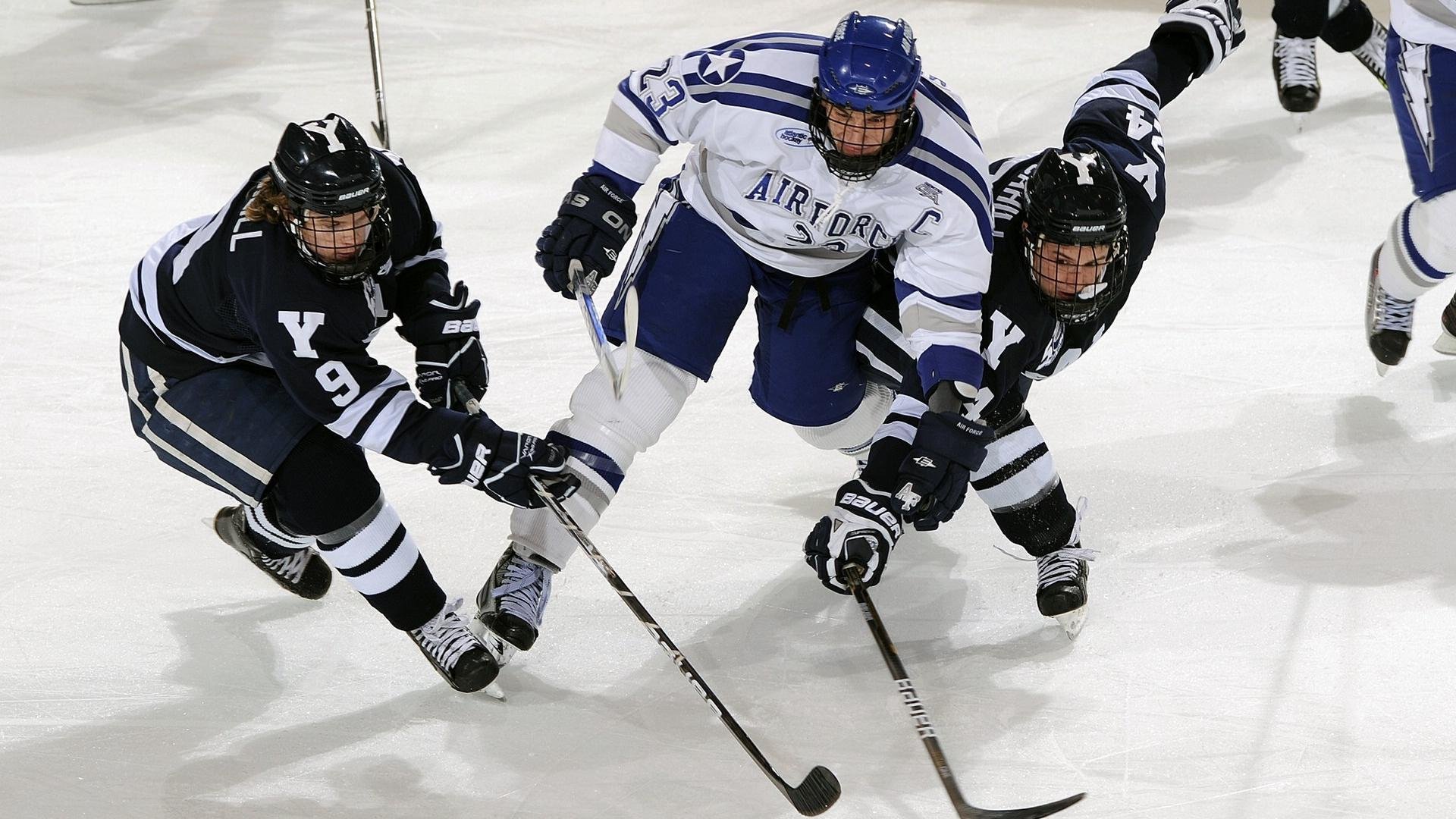 全明星赛星光璀璨 东西部对决点燃篮球盛宴