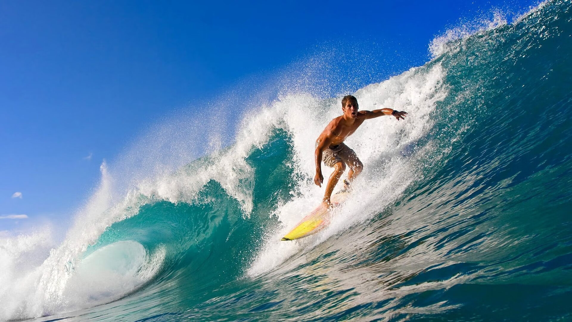 百米飞人巅峰对决 新星闪耀打破纪录_BT体育官网